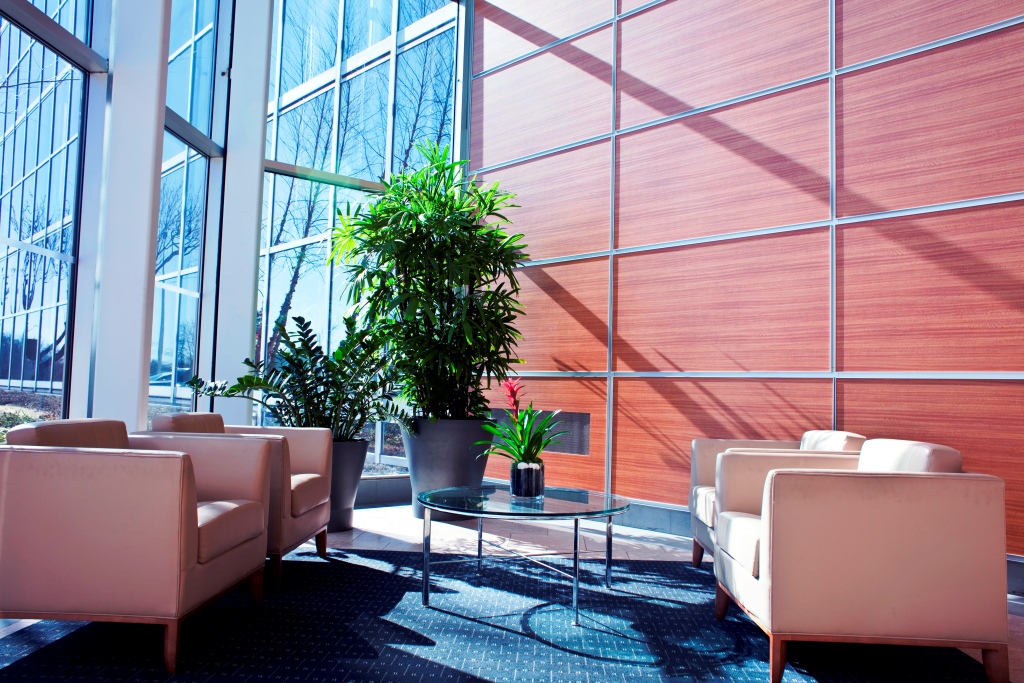How We Design Your Office Greenspace