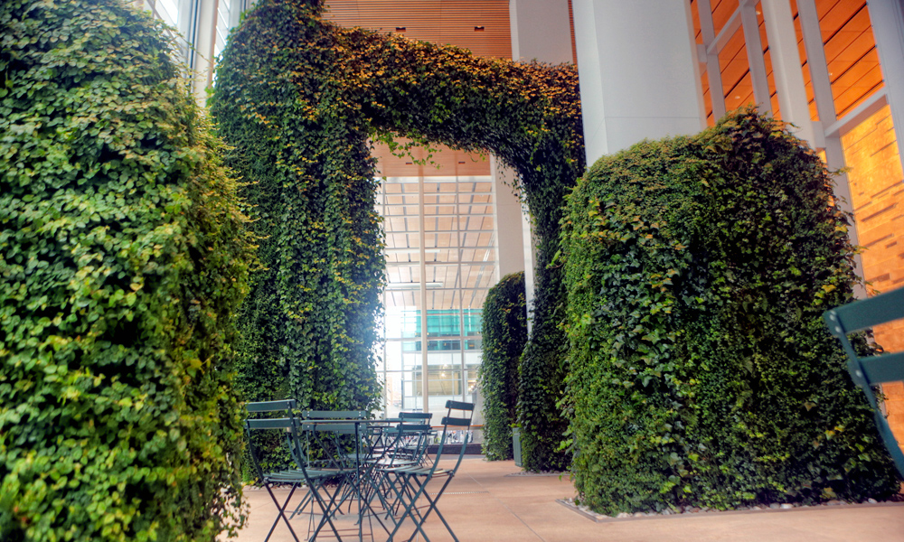 What is an indoor living wall?