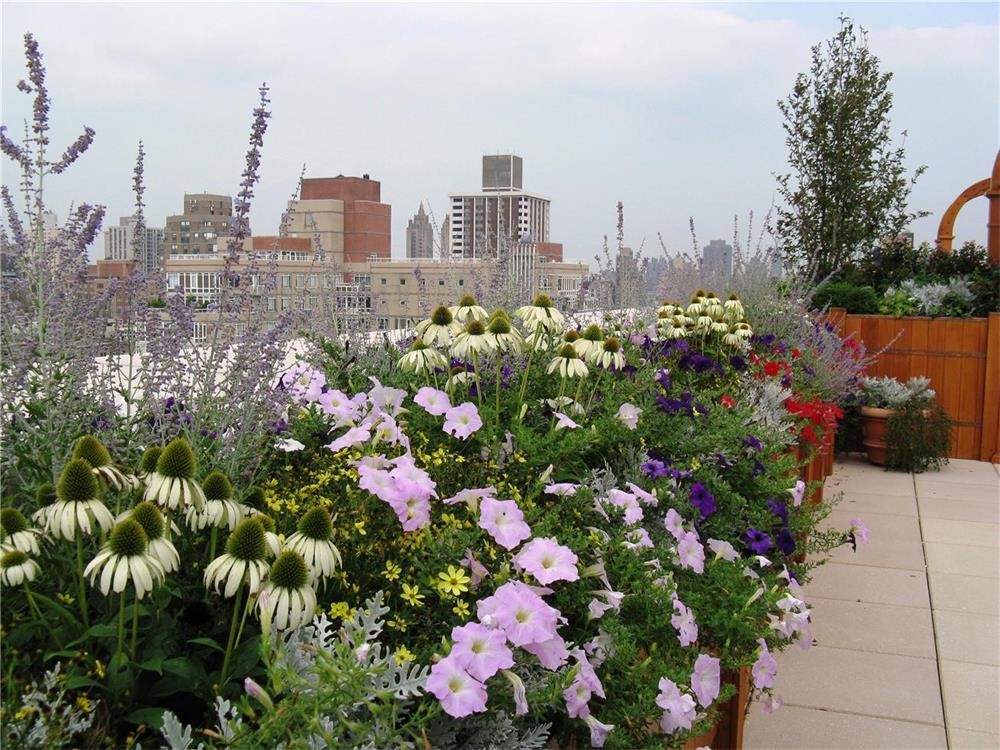 West End Terrace Manhattan | Award-Winning Landscapes